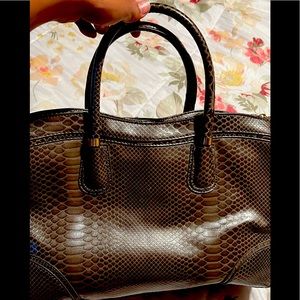 Gianni bisnieto purse snake , bran new